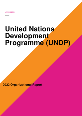 04. 2022 UNDP 04. 2022 UNDP
