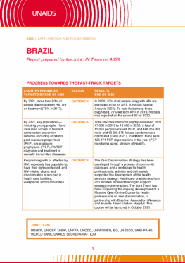 Brazil_Country Report_2020_formatted_EN