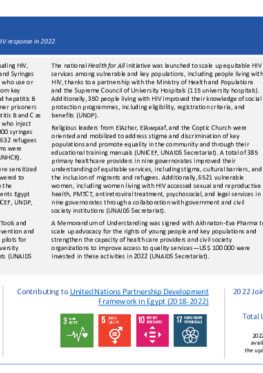 Egypt_Country Report_formatted_EN