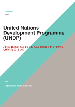 UNDP_Organizational report_2018-2019 UNDP_Organizational report_2018-2019
