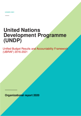 UNDP_Organizational report_2020.pdf UNDP_Organizational report_2020.pdf