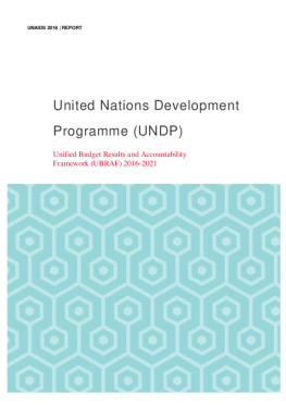 UNDP_organizationalreport_final_tmp UNDP_organizationalreport_final_tmp