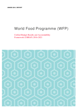 WFP_organizationalreport_final_tmp WFP_organizationalreport_final_tmp